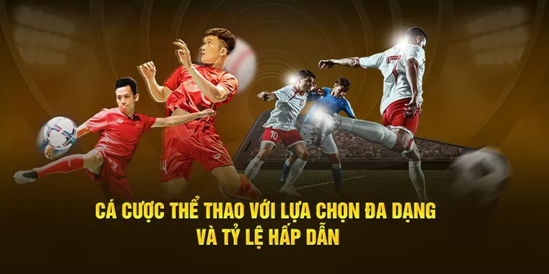 Sảnh Sports chuyên nghiệp mang đến hệ số cược ưu việt