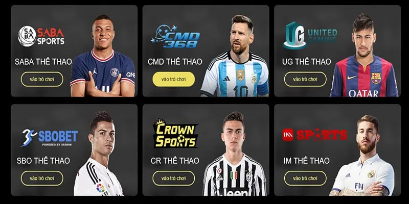 Top sảnh cá cược thể thao được ưa chuộng nhất